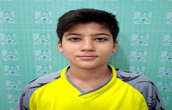 محمد کمیل حسنلو