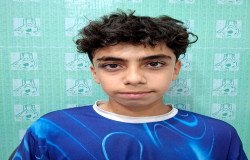 آریا سلیمانی