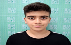 بهامین جانی پور