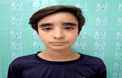 محمد عطا محمدیان