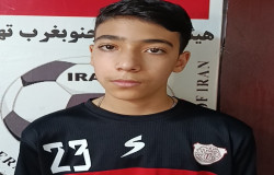 سید محمد پویان امینی