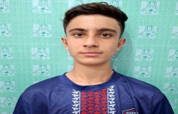 آریا شیرمحمدی