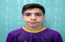 آرتین حمزه لو