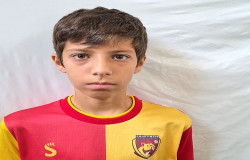 امیر محمد سردهنه