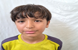 محمد حسین طالبی