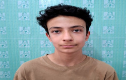 محمد حسین کرمی