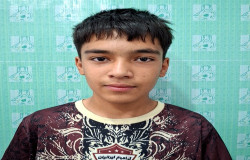 محمد زارعی تازه کند