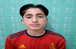 فرنام خواجوی