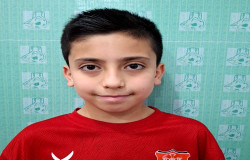 آراد شاه نظری