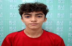 آرتین آقائی