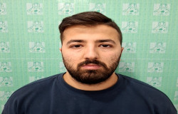 پویا باقرلویی