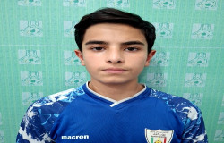 سید طاها حمید شریفی