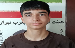 آرمین دل پسند