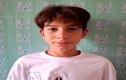 رضا سبزی