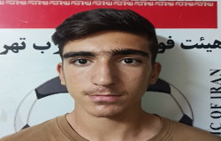 حسین امین مقدم
