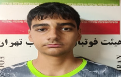 مهدی شکری