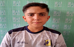 محمدجواد دولتی