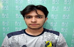 پارسا ناصری