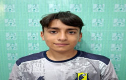 آریا یادگاری