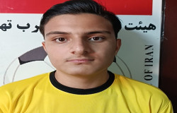 محمد سینا محمدی