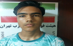 طاهر گودرزی