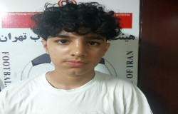 آرین شاهرخی
