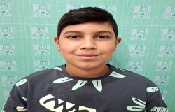 آراد استاد علی