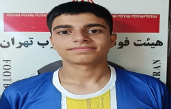 محمدحسین محمدی