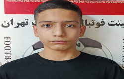 محمد طاها تقوی