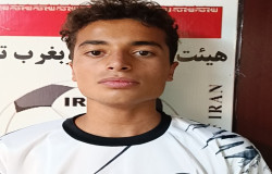 آریا برق گیر
