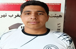 پرهام گزینی