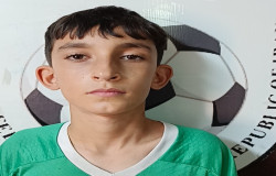 محمدحسین محمدی