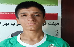 ارمان شاهی
