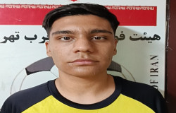 امیررضا حسنی