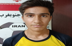 علیرضا حسنی