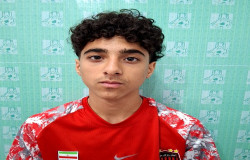 پویا میرزایی علویجه