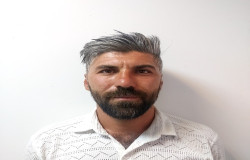 حمید محمدی کیا