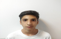 محمد پارسا طاوسی
