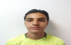 امیرعباس حامدیان