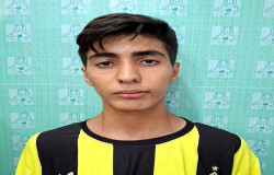 امیر حسام سخنور