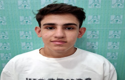 سیدامیرعلی بنائی