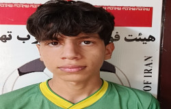 آرین نقی