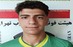 امیرحافظ سلیمانی