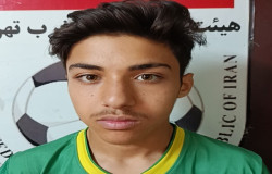 محمدمهدی فرزانه