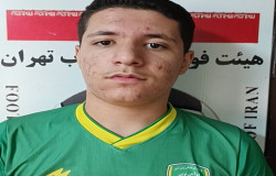 محمد امین محمدیان