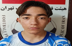 امیر حسین ایرج حماملو