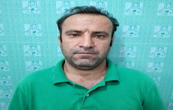 محمد سیاوشی
