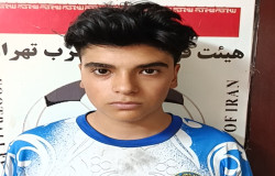 پارسا ذوالقدری