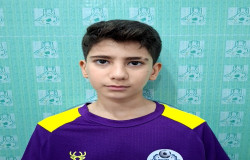 آرمین شهبازی