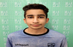 سید امیر حسین احمدپناه